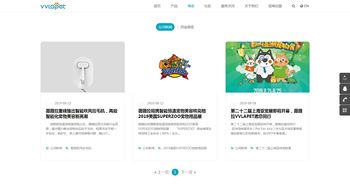 卓越迈创软件助力薇薇拉网站成功上线，开启品牌数字新篇章